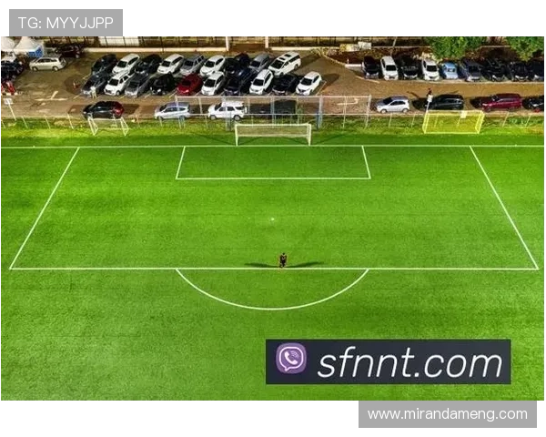 九游体育娱乐最新网站推荐2026年最受欢迎的体育娱乐平台全攻略