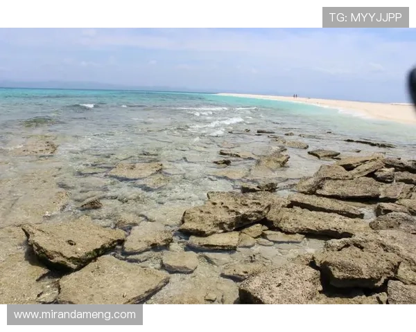 九游股份在游戏行业中的市场地位与未来发展战略探讨